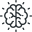 Capacités cognitives